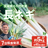 長ネギ 約5kg 約45本 茨城県産 八千代町産 野菜 農家直送 化成肥料不使用 有機肥料100% ねぎ 長ねぎ ネギ 旨味 認定農業者 9000円 [DJ003ya]