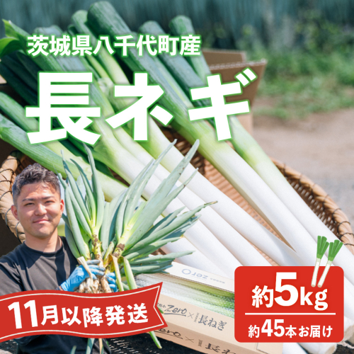 【先行受付 2026年11月以降発送開始】長ネギ 約5kg 約45本 茨城県産 八千代町産 野菜 農家直送 化成肥料不使用 有機肥料100% ねぎ 長ねぎ ネギ 旨味 認定農業者 9000円 [DJ004ya] 2513674 - 茨城県八千代町