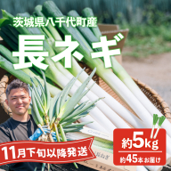 【先行受付 2026年11月下旬以降発送開始】長ネギ 約5kg 約45本 茨城県産 八千代町産 野菜 農家直送 化成肥料不使用 有機肥料100% ねぎ 長ねぎ ネギ 旨味 認定農業者 9000円 [DJ004ya]