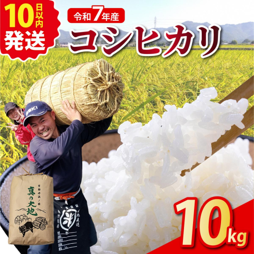 令和7年産 コシヒカリ 10kg 京都丹波産 農家直送 産地直送 スピード配送 ※北海道・沖縄・離島への配送不可 2513675 - 京都府亀岡市