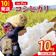【定期3回】令和7年産 コシヒカリ 10kg×3回 京都丹波産 農家直送 産地直送 スピード配送 ※北海道・沖縄・離島への配送不可