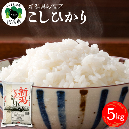 令和7年産 新潟県妙高産コシヒカリ5kg【順次発送】 2513681 - 新潟県妙高市