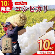 【定期6回】令和7年産コシヒカリ 10kg×6回 京都丹波産 農家直送 産地直送 スピード配送 ※北海道・沖縄・離島への配送不可