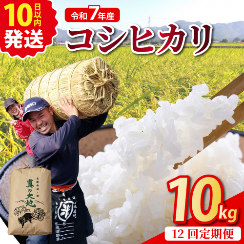 【定期12回】令和7年産 コシヒカリ 10kg×12回 京都丹波産 農家直送 産地直送 スピード配送【～3月31日まで】※北海道・沖縄・離島への配送不可 2513744 - 京都府亀岡市