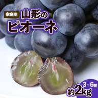 【ご家庭用】山形のピオーネ優品約2kg(2～6房)【8月お届け】【令和8年産先行予約】FS25-152