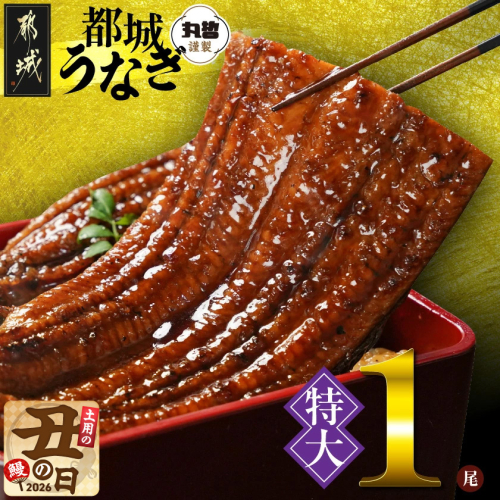 【丑の日】宮崎県育ちの【特大】うなぎ蒲焼1尾210g以上≪山椒・たれ付≫≪7月20日～25日お届け≫_11-M301-UG 2513841 - 宮崎県都城市