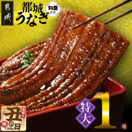 【丑の日】宮崎県育ちの【特大】うなぎ蒲焼1尾210g以上≪山椒・たれ付≫≪7月20日～25日お届け≫_11-M301-UG