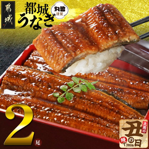 【丑の日】宮崎県育ちのうなぎ蒲焼2尾300g以上≪山椒・たれ付≫≪7月20日～25日お届け≫_13-M301-UG 2513842 - 宮崎県都城市