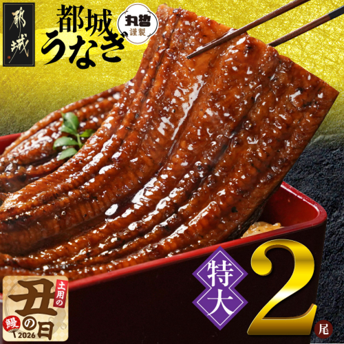 【丑の日】宮崎県育ちの【特大】うなぎ蒲焼2尾440g以上≪山椒・たれ付≫≪7月20日～25日お届け≫_18-M301-UG 2513843 - 宮崎県都城市