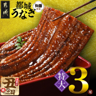 【丑の日】宮崎県育ちの【特大】うなぎ蒲焼3尾680g以上≪山椒・たれ付≫≪7月20日～25日お届け≫_29-M301-UG