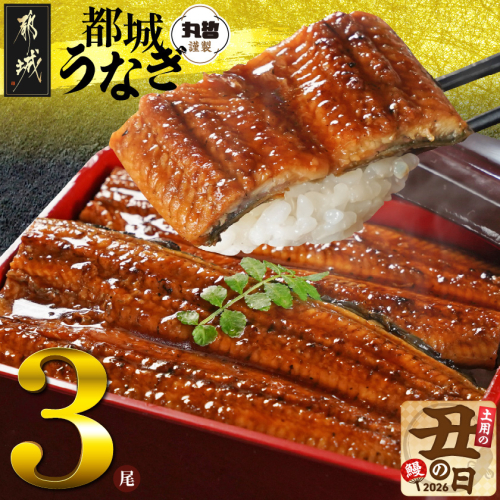 【丑の日】宮崎県育ちのうなぎ蒲焼3尾500g以上≪山椒・たれ付≫≪7月20日～25日お届け≫_AC-M301-UG 2513845 - 宮崎県都城市