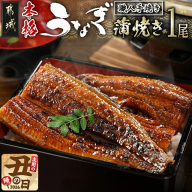 [丑の日]職人手焼きの本格うなぎ蒲焼き1尾≪7月20日〜25日お届け≫_LG8-33-003-1-UG