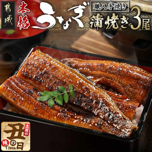 【丑の日】職人手焼きの本格うなぎ蒲焼き3尾≪7月20日～25日お届け≫_AC-33-003-3-UG 2513878 - 宮崎県都城市