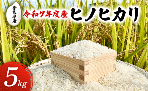 令和7年度産　奈良県産　ヒノヒカリ5kg　お米　米　コメ 2514126 - 奈良県大和郡山市