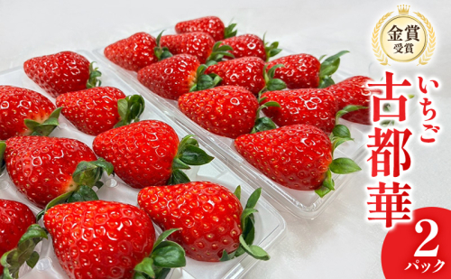いちご　古都華　2パック 金賞受賞 フルーツ 果物 旬 産地直送 デザート ことか イチゴ 苺 冷蔵 奈良 大和郡山　北村農園 2514127 - 奈良県大和郡山市