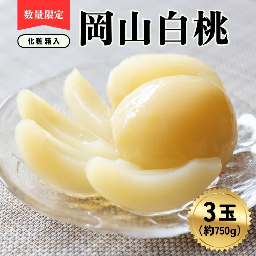 岡山白桃3玉（計約750ｇ）化粧箱入|桃 もも モモ はくとう フルーツ 果物  ピーチ 贈答 ギフト 朝採れ 朝採り 新鮮 旬 食べごろ 食べ頃 岡山産 岡山県産 産地直送 産直 特産 特産品 送料無料 食べ比べ 岡山県 鏡野町 2514207 - 岡山県鏡野町