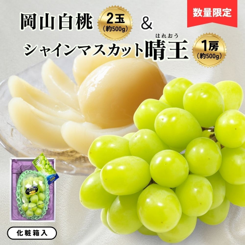 岡山白桃2玉（約500ｇ）＆シャインマスカット晴王1房（約500ｇ）化粧箱入|桃 もも モモ はくとう はれおう フルーツ 果物 ピーチ ぶどう 葡萄 ブドウ 贈答 ギフト 朝採れ 朝採り 新鮮 旬 食べごろ 食べ頃 岡山産 岡山県産 産地直送 産直 特産 特産品 送料無料 食べ比べ 岡山県 鏡野町 2514208 - 岡山県鏡野町