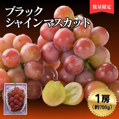 ブラックシャインマスカット1房（700ｇ） 2514211 - 岡山県鏡野町