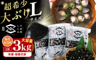 【全3回定期便】地元でも入手困難なレアサイズ！ Lサイズ 宍道湖産ヤマトシジミ(冷凍砂抜き済み)1kg×3袋(3kg) 島根県松江市/宍道湖漁業協同組合 [ALAZ006]