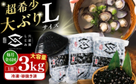 【全6回定期便】地元でも入手困難なレアサイズ！ Lサイズ 宍道湖産ヤマトシジミ(冷凍砂抜き済み)1kg×3袋(3kg) 島根県松江市/宍道湖漁業協同組合 [ALAZ007]