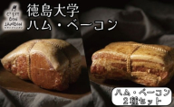 【4月発送】 徳島大学 ハム ベーコン 計900g 熟成 ロースハム ベーコン 豚肉 豚 ぶた ブタ 加工品 お中元 お歳暮 年末 徳島大学 徳島県