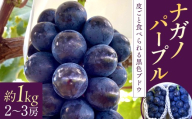 ナガノパープル(約1kg、2～3房)　
