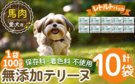 a1087-D ＜保存料・着色料 不使用＞愛犬用無添加テリーヌ レトルトパック 馬テリーヌ10袋(1袋約100g・合計約1kg)【Nフードサービス】姶良市 馬 テリーヌ 犬 ドッグ ペット フード エサ レトルト おやつ ごはん ご飯 間食 ご褒美