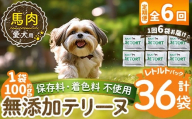 a1087-H 【6回定期便】＜保存料・着色料 不使用＞愛犬用無添加テリーヌ レトルトパック 馬テリーヌ6袋×6回(1袋約100g・合計約3.6kg)【Nフードサービス】姶良市 馬 テリーヌ 犬 ドッグ ペット フード エサ レトルト おやつ ごはん ご飯 間食 ご褒美
