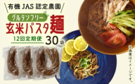 【12回定期便】有機グアバ農園のグルテンフリー玄米パスタ麺 100g×30袋セット | 定期便 グルテン フリー グルテンフリー 食品 麺 メン めん パスタ 人気 おすすめ JAS認証済 高知県 南国市