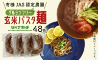 【3回定期便】有機グアバ農園のグルテンフリー玄米パスタ麺 100g×48袋セット | 定期便 グルテン フリー グルテンフリー 食品 麺 メン めん パスタ 人気 おすすめ JAS認証済 高知県 南国市