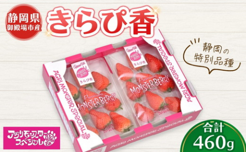 きらぴ香 静岡の特別品種 230g×トレー2枚 計460g ｜ いちご 苺 果物 静岡県 ※2026年1月上旬～4月中旬頃に順次発送予定 ※北海道・沖縄・離島への配送不可 2514822 - 静岡県御殿場市
