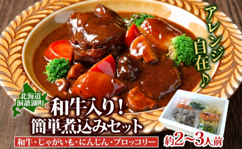 和牛入り 簡単煮込み セット 約2～3人前 和牛 水煮 冷凍野菜 野菜 じゃがいも にんじん ブロッコリー ポトフ カレー シチュー 煮込み 料理 時短 簡単 冷凍 送料無料 とうやマルシェ 北海道 洞爺湖町 2515150 - 北海道洞爺湖町
