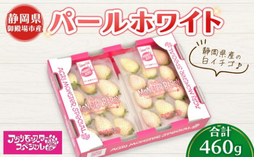 甘い白イチゴ パールホワイト 230g×トレー2枚 計460g ｜ いちご 苺 果物 静岡県 ※2026年1月上旬～4月中旬頃に順次発送予定 ※北海道・沖縄・離島への配送不可 2515300 - 静岡県御殿場市