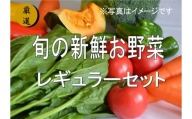 No.1000　大人気！旬の新鮮お野菜　レギュラーセット（詰め合わせ）