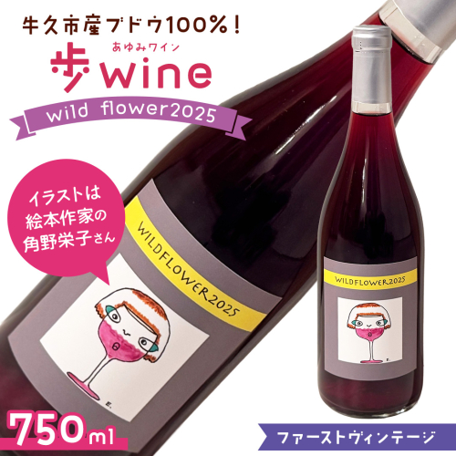 歩wine wild flower2025 ( 750ml ) 日本ワイン 牛久市 ブドウ 自然派ワイン 無濾過 ファーストヴィンテージ マスカット・ベーリーA ビジュノワール メルロー バルベーラ ワイン 酒 赤ワイン わいん 2515441 - 茨城県牛久市