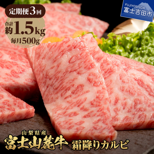 【3ヶ月お届け】山梨県産 富士山麓牛 霜降りカルビ 500g 2515450 - 山梨県富士吉田市