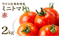 【先行販売】【ファーム雫】ワインに合わせるミニトマト赤 ２kg【a127-003】