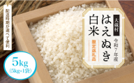 数量限定返礼品 [令和7年産 大蔵村 はえぬき][白米] 5kg (5kg×1袋)[配送時期が選べて便利]