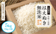 数量限定返礼品 [令和7年産 大蔵村 はえぬき][無洗米]5kg (5kg×1袋)[配送時期が選べて便利]