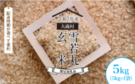 数量限定返礼品 [令和7年産 大蔵村 雪若丸][玄米] 5kg (5kg×1袋)[配送時期が選べて便利]