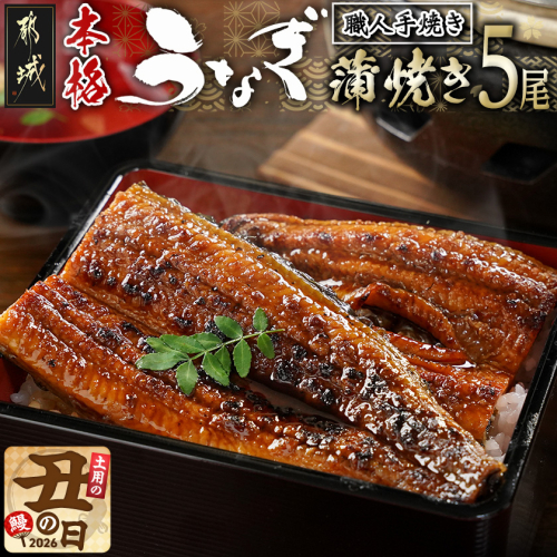 【丑の日】職人手焼きの本格うなぎ蒲焼き5尾≪7月20日～25日お届け≫_32-33-003-5-UG 2515780 - 宮崎県都城市