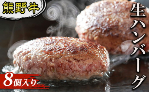 熊野牛 生ハンバーグ 8個入り 2515827 - 和歌山県美浜町
