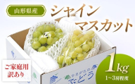 【先行予約（令和8年発送）】 山形県産 ご家庭用 訳ありシャインマスカット 1kg FSY-2802