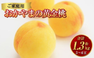 [ご家庭用] おかやまの黄金桃 5〜6玉 (約1.3kg) もも 桃 黄金桃 岡山県産 国産 フルーツ スイーツ 大玉 果肉 美味しい 甘い 柔らかい 岡山県 倉敷市 [2026年8月下旬〜9月下旬発送予定]