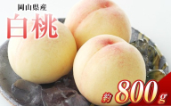 白桃 3玉(合計約800g)果物 デザート スイーツ フルーツ 果肉 美味しい 甘い 柔らかい 上品[2026年7月上旬〜7月下旬迄順次発送予定]