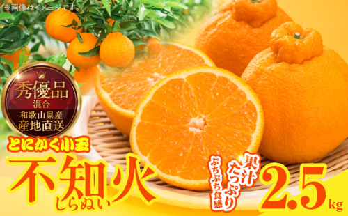 MK1018_不知火 (しらぬい) とにかく小玉 箱込 2.5kg (内容量約2.3kg) 秀品 優品 混合 2516217 - 和歌山県湯浅町