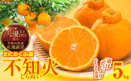 MK1017_不知火 (しらぬい) とにかく小玉 箱込 5kg (内容量約4.4kg) 秀品 優品 混合 2516218 - 和歌山県湯浅町