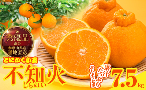 MK1016_不知火 (しらぬい) とにかく小玉 箱込 7.5kg (内容量約6.8kg) 秀品 優品 混合 2516220 - 和歌山県湯浅町