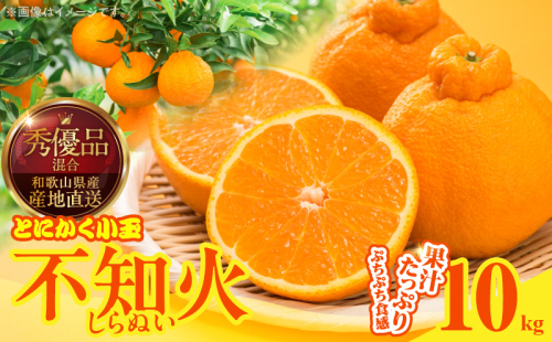 MK1015_不知火 (しらぬい) とにかく小玉 箱込 10kg (内容量約9.2kg) 秀品 優品 混合 2516221 - 和歌山県湯浅町