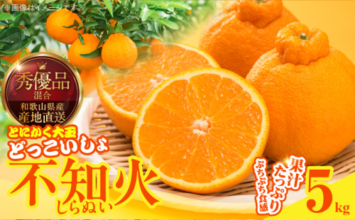 MK1011_不知火 (しらぬい) とにかく大玉 どっこいしょ 箱込 5kg (内容量約4.4kg) 秀品 優品 混合 2516222 - 和歌山県湯浅町